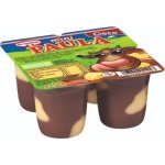 PAULA MINI CIOCO 4x50G (12/bax)