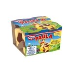 PAULA PUDDING VANILIE SI CIOCOLATA 4X125G (12/bax)