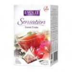 EVOLET SENSATION FOREST FRUIT 45Gx20 PLICURI