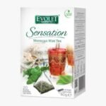 EVOLET SENSATION MOROCCAN MINT 40Gx20 PLICURI