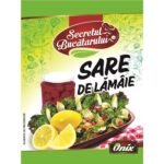 Secretul Bucatarului Sare de Lamaie 8g (60)