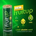 Fruit Up Limonada Cu Menta Si Lime Doza 250ml (24) SGR
